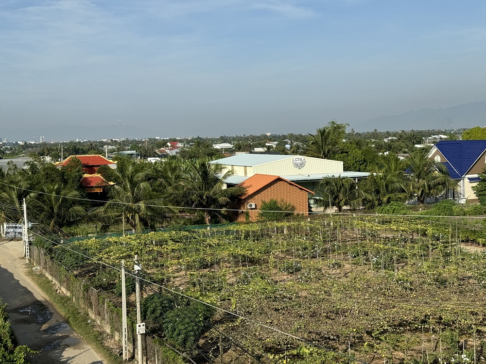 /XƯỞNG SẢN XUẤT CÁNH TRẮNG 